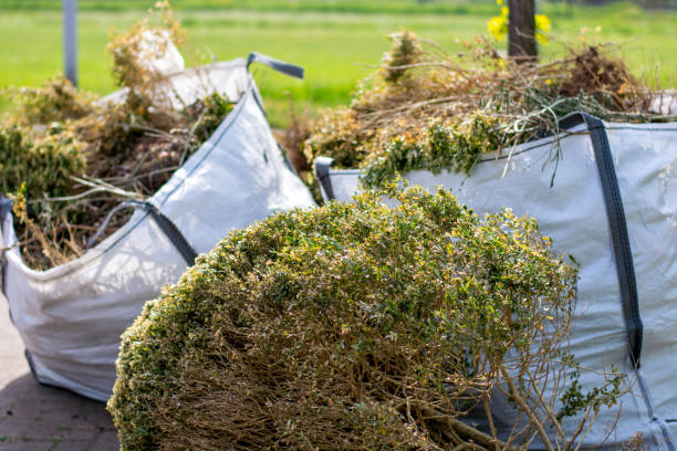 Best Office Junk Removal  in Canton, IL